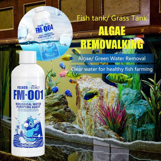 Purificador de Agua y Eliminador de Algas para Pecera