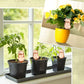 ✨Regadera automática para flores tipo Birdie✨-COMPRA DOS CON 10% DE DESCUENTO
