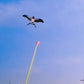 🔥Por tiempo limitado 50% de descuento🔥  Juguetes creativos para cometa y caña de pescar para niños