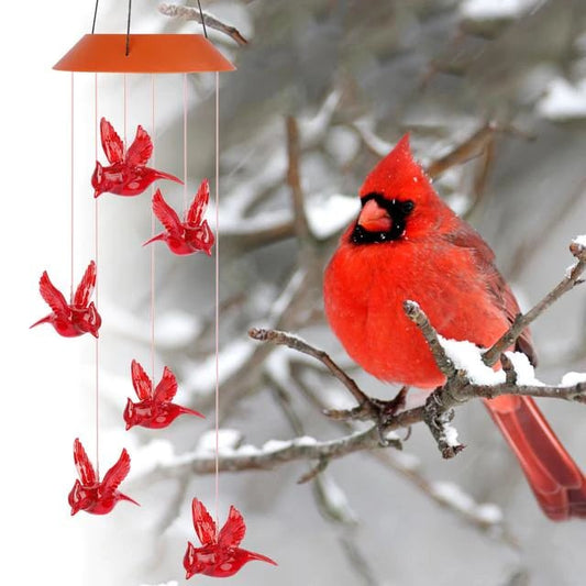 Cortaviento Cardinal con energía solar