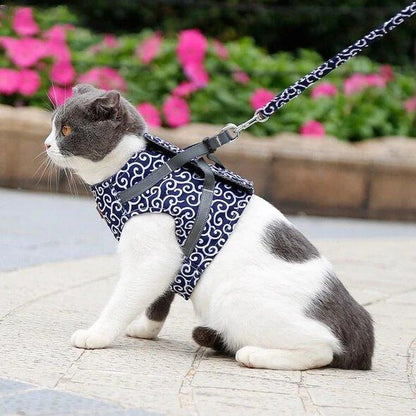 🌲Hot Sale 49% OFF🔥Pet Leash Anti-break Away Chest Strap Arnés Chaleco