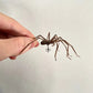 El pendiente de la araña gigante